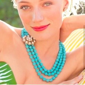 Stella & Dot Turquoise and Black Fashion Long Pearls